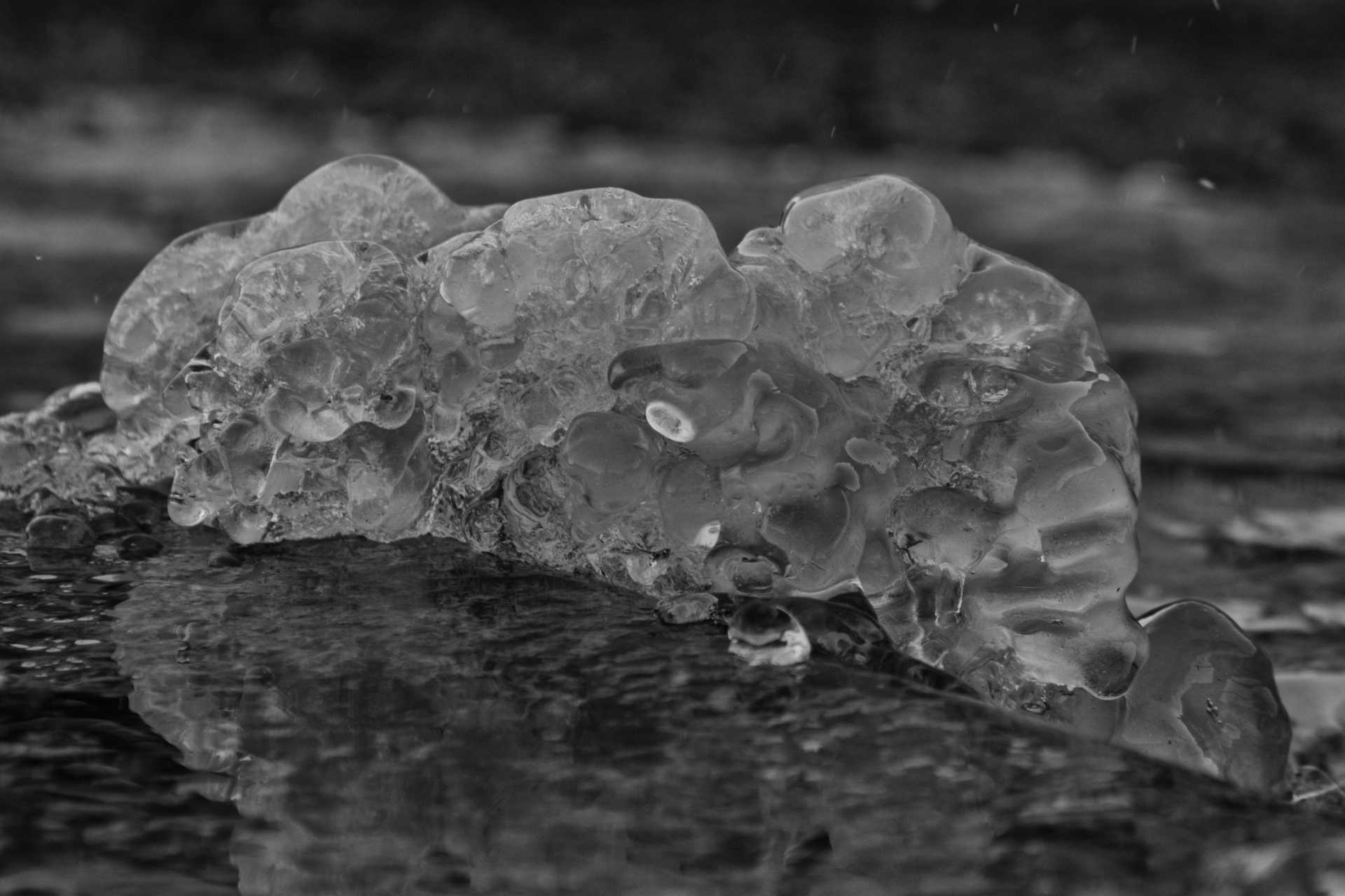 Sculture naturali di ghiaccio a Ostia